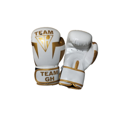 gants de boxe